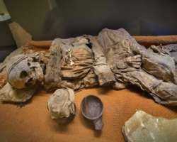 Some creepy things are also kept in the museum which includes a real mummy of Ancient Egypt, a snuffbox that was used to murder the Russian Emperor Pa